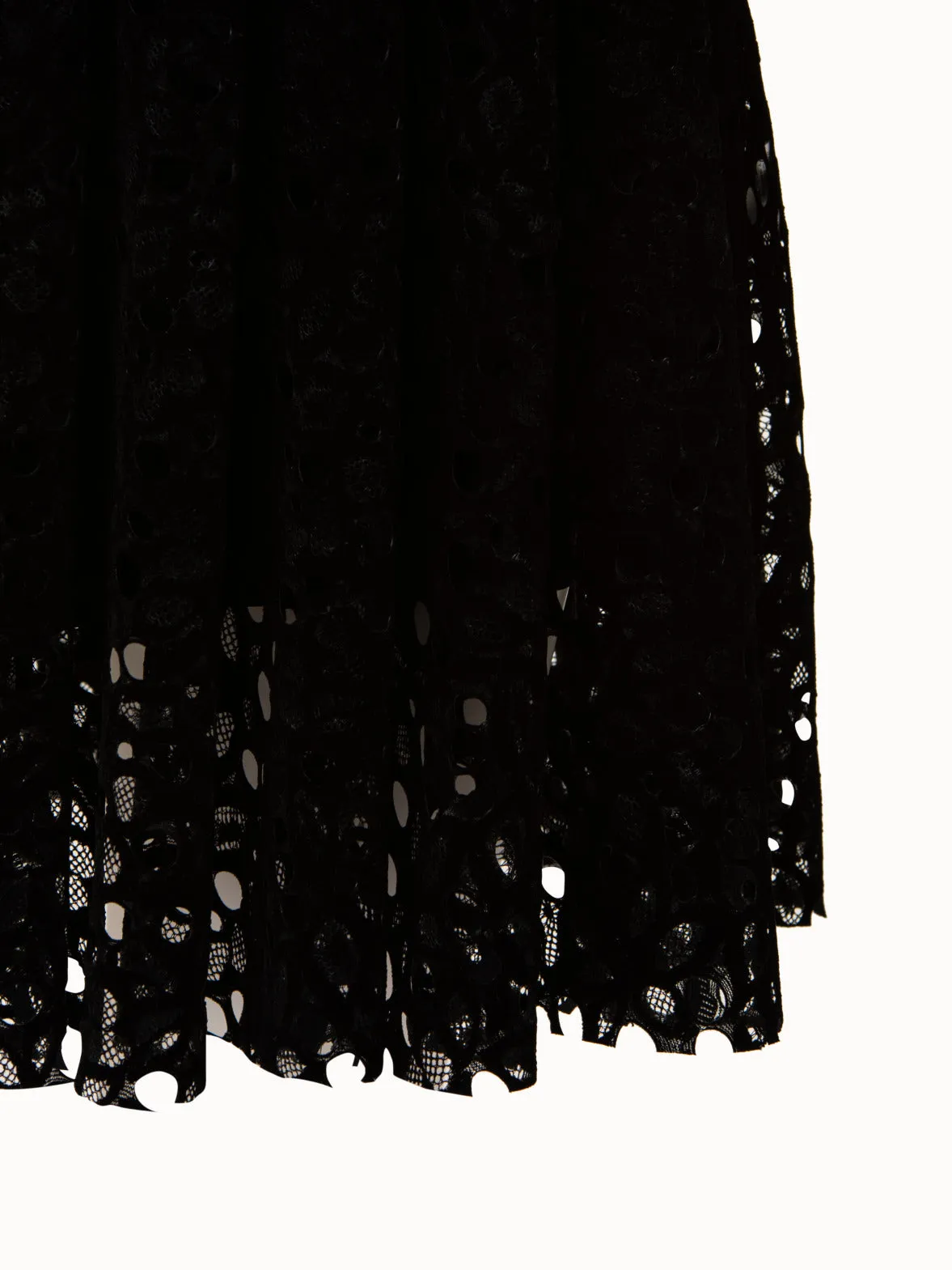 Butterfly Wing Velvet Lace Dress