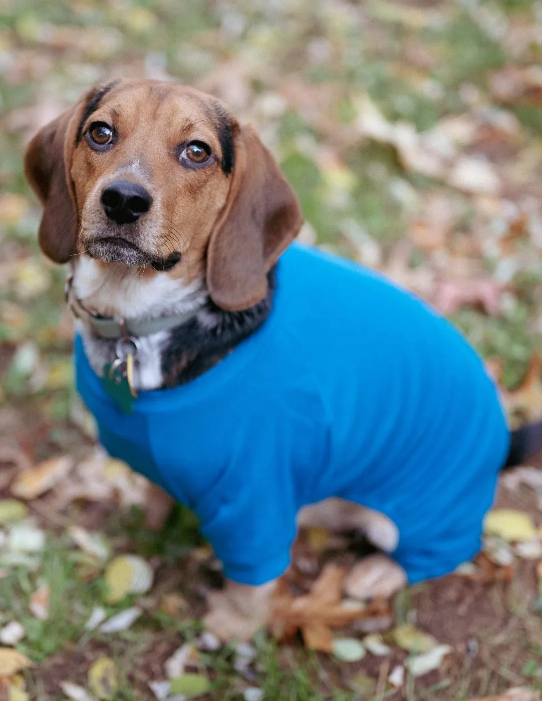 Dog's Solid Color Boho Pajamas